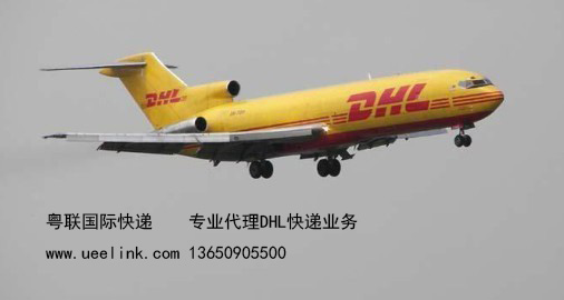 大新DHL代理DHL取件